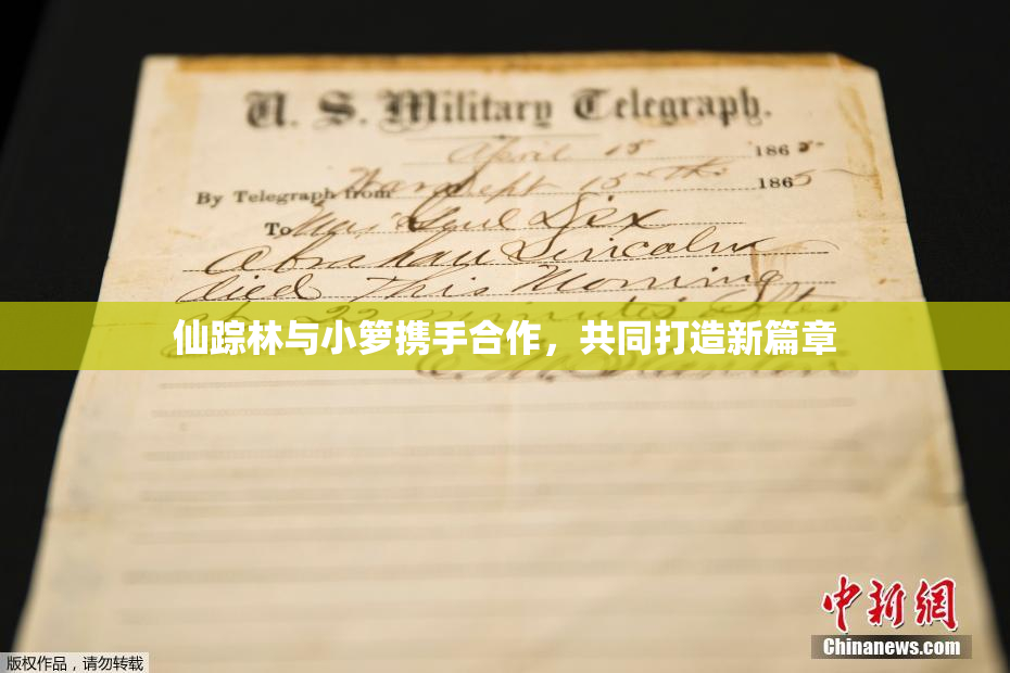 仙踪林与小箩携手合作，共同打造新篇章