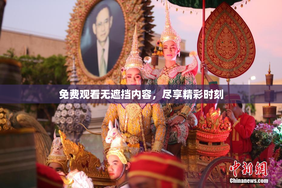 免费观看无遮挡内容，尽享精彩时刻