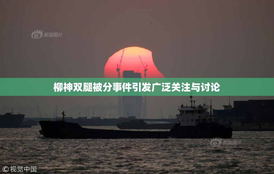柳神双腿被分事件引发广泛关注与讨论