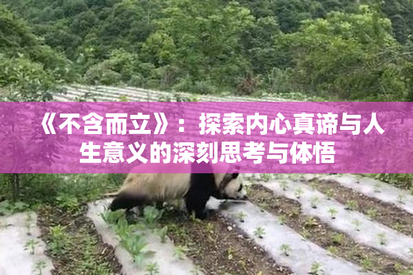 《不含而立》：探索内心真谛与人生意义的深刻思考与体悟
