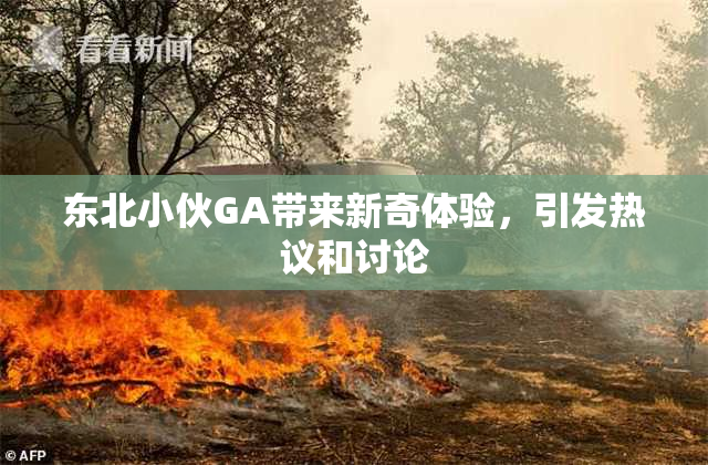 东北小伙GA带来新奇体验，引发热议和讨论