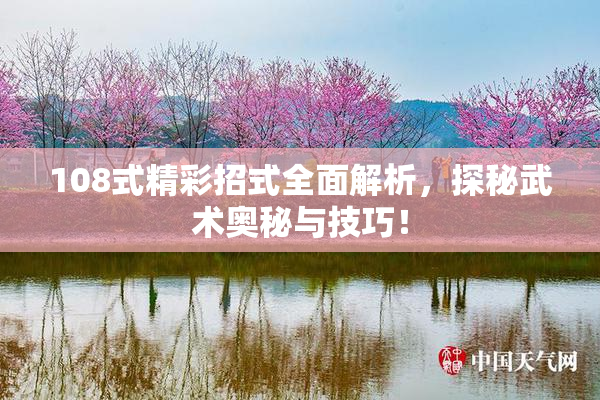 108式精彩招式全面解析，探秘武术奥秘与技巧！