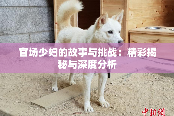 官场少妇的故事与挑战：精彩揭秘与深度分析