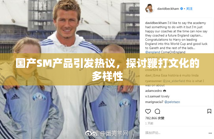 国产SM产品引发热议，探讨鞭打文化的多样性