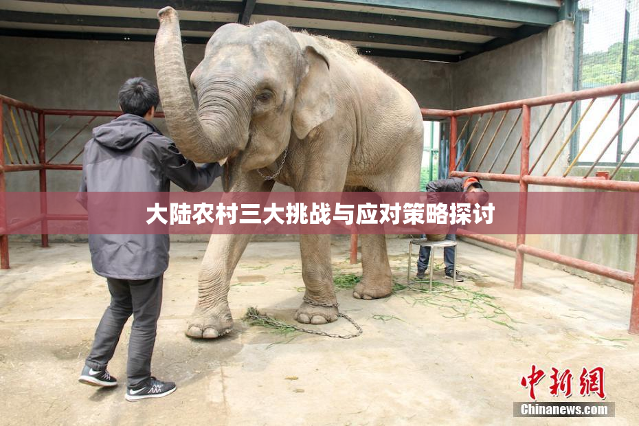 大陆农村三大挑战与应对策略探讨