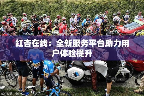 红杏在线：全新服务平台助力用户体验提升
