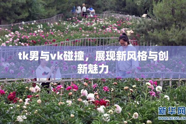 tk男与vk碰撞，展现新风格与创新魅力