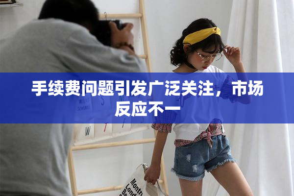 手续费问题引发广泛关注，市场反应不一