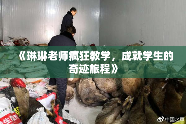 《琳琳老师疯狂教学，成就学生的奇迹旅程》