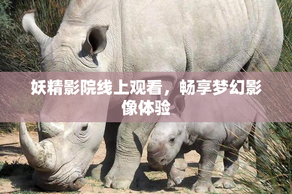 妖精影院线上观看，畅享梦幻影像体验