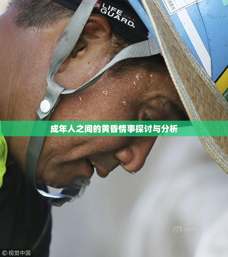 成年人之间的黄昏情事探讨与分析