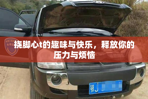 挠脚心t的趣味与快乐，释放你的压力与烦恼