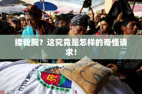 揉我胸？这究竟是怎样的奇怪请求！
