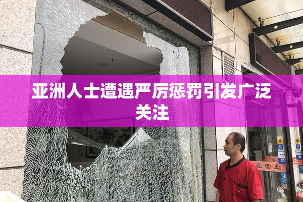 亚洲人士遭遇严厉惩罚引发广泛关注