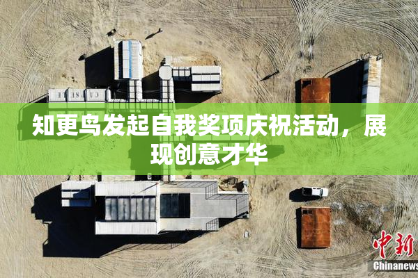 知更鸟发起自我奖项庆祝活动，展现创意才华