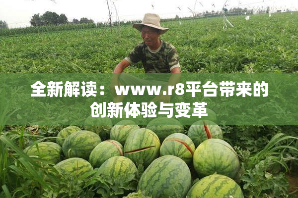 全新解读：www.r8平台带来的创新体验与变革