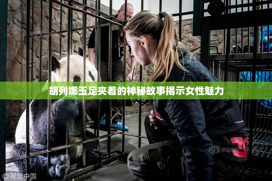 胡列娜玉足夹着的神秘故事揭示女性魅力