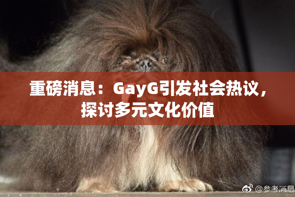重磅消息：GayG引发社会热议，探讨多元文化价值