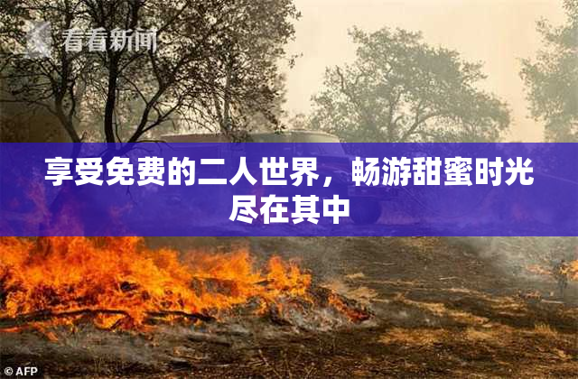 享受免费的二人世界，畅游甜蜜时光尽在其中