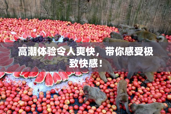 高潮体验令人爽快，带你感受极致快感！