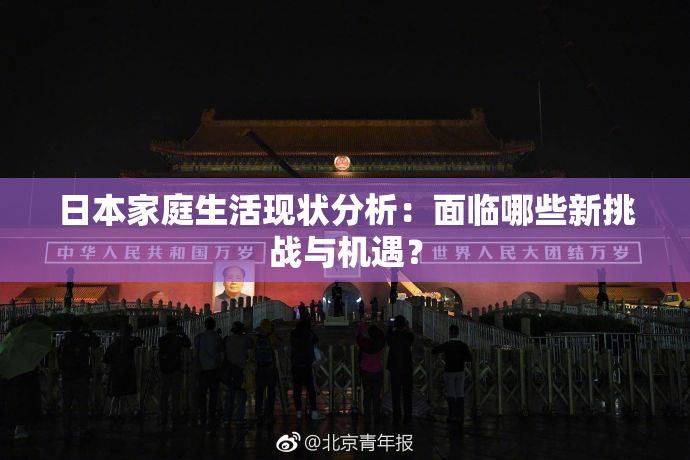日本家庭生活现状分析：面临哪些新挑战与机遇？