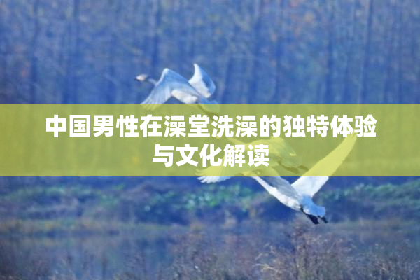 中国男性在澡堂洗澡的独特体验与文化解读