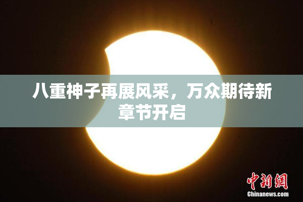 八重神子再展风采，万众期待新章节开启