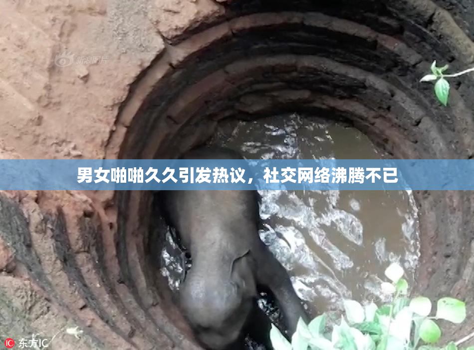 男女啪啪久久引发热议，社交网络沸腾不已