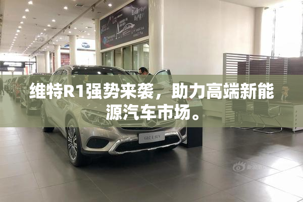 维特R1强势来袭，助力高端新能源汽车市场。