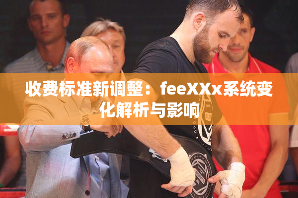 收费标准新调整：feeXXx系统变化解析与影响
