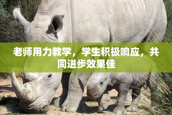 老师用力教学，学生积极响应，共同进步效果佳