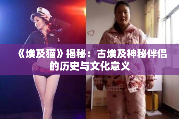 《埃及猫》揭秘：古埃及神秘伴侣的历史与文化意义