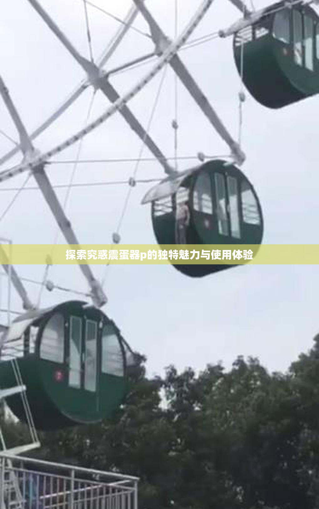 探索究惑震蛋器p的独特魅力与使用体验