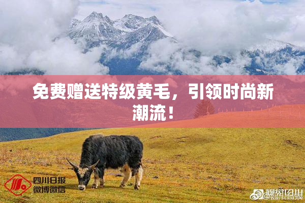 免费赠送特级黄毛，引领时尚新潮流！