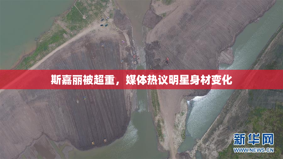 斯嘉丽被超重，媒体热议明星身材变化