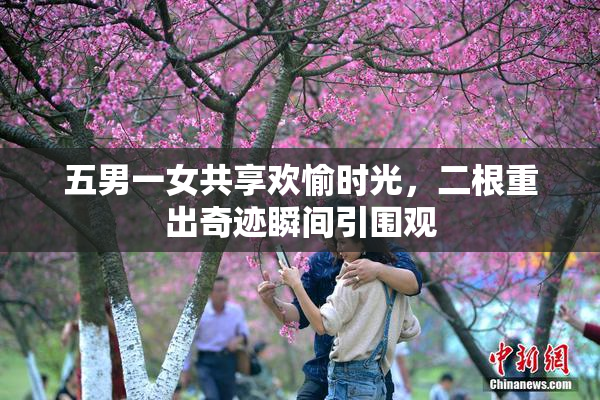 五男一女共享欢愉时光，二根重出奇迹瞬间引围观