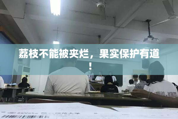 荔枝不能被夹烂，果实保护有道！