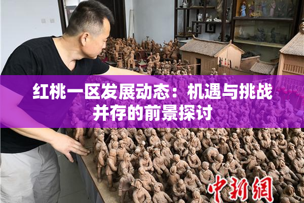 红桃一区发展动态：机遇与挑战并存的前景探讨