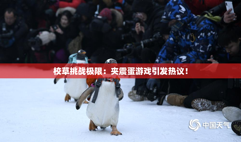 校草挑战极限：夹震蛋游戏引发热议！