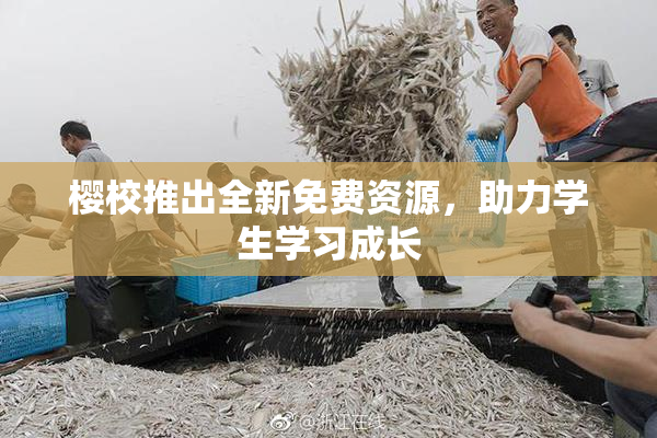 樱校推出全新免费资源，助力学生学习成长