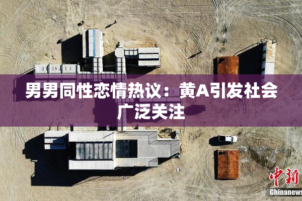 男男同性恋情热议：黄A引发社会广泛关注