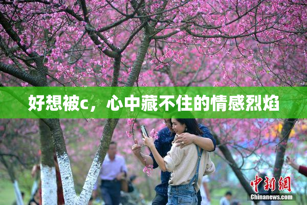 好想被c，心中藏不住的情感烈焰