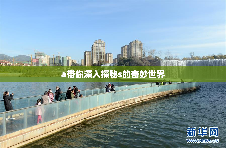 a带你深入探秘s的奇妙世界