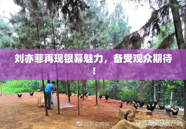 刘亦菲再现银幕魅力，备受观众期待！