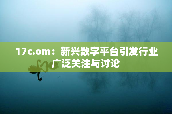 17c.om：新兴数字平台引发行业广泛关注与讨论