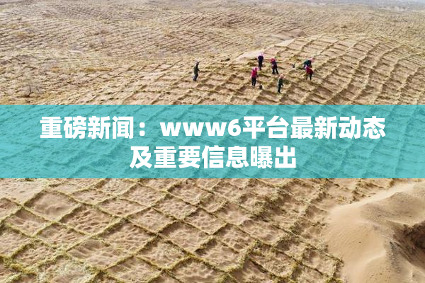重磅新闻：www6平台最新动态及重要信息曝出
