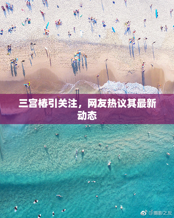 三宫椿引关注，网友热议其最新动态