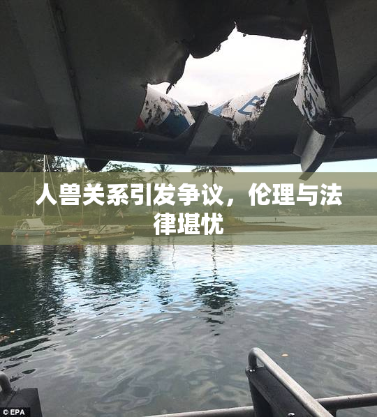 人兽关系引发争议，伦理与法律堪忧