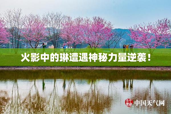 火影中的琳遭遇神秘力量逆袭！