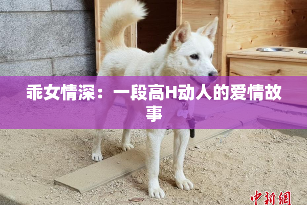 乖女情深：一段高H动人的爱情故事